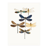 Cc Insects 10 (Print Only) thumbnail