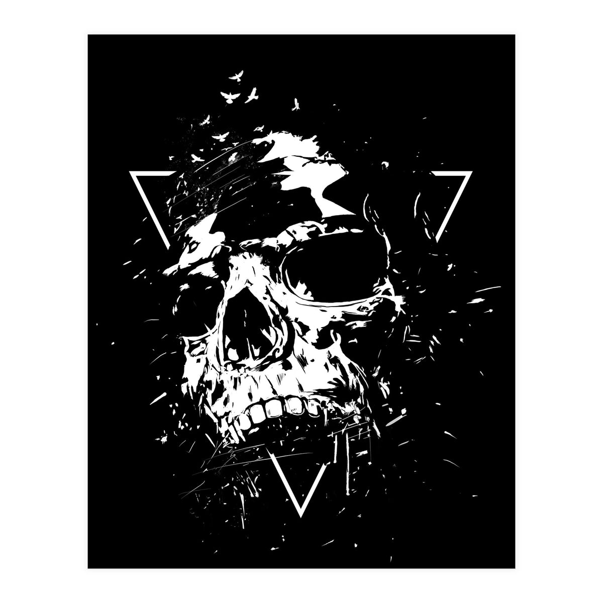 Skull X (Bw) (Print Only)