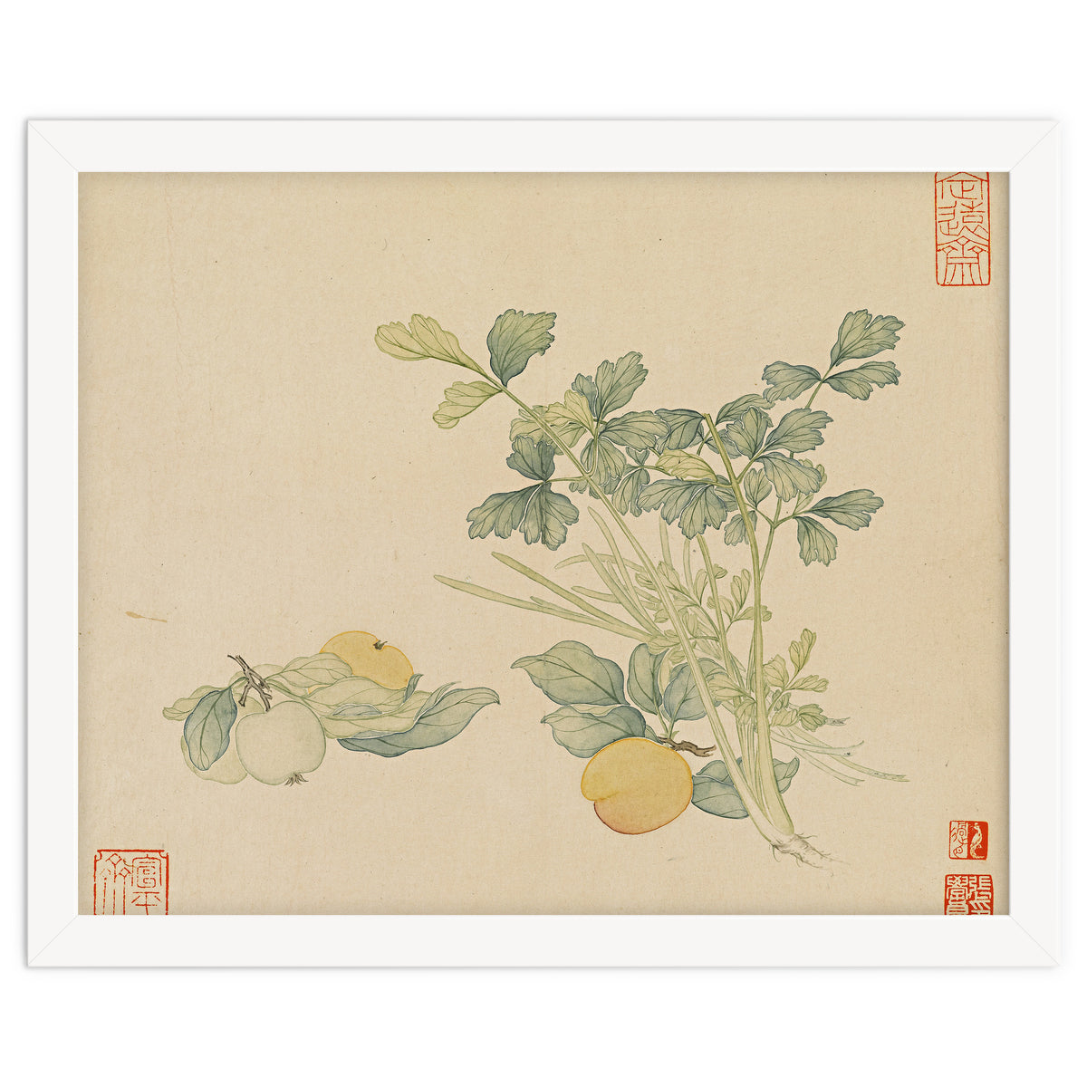 Wang Chengyu~flowers And Vegetables, Vegetables, Fruits, Plums, Apricots, Celery