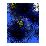 Untitledl 1 (Print Only) thumbnail