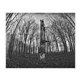 Circle of Growth and decay  (Print Only) thumbnail