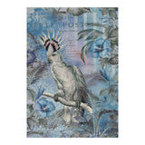 Jungle Cockatoo Blue (Print Only) thumbnail