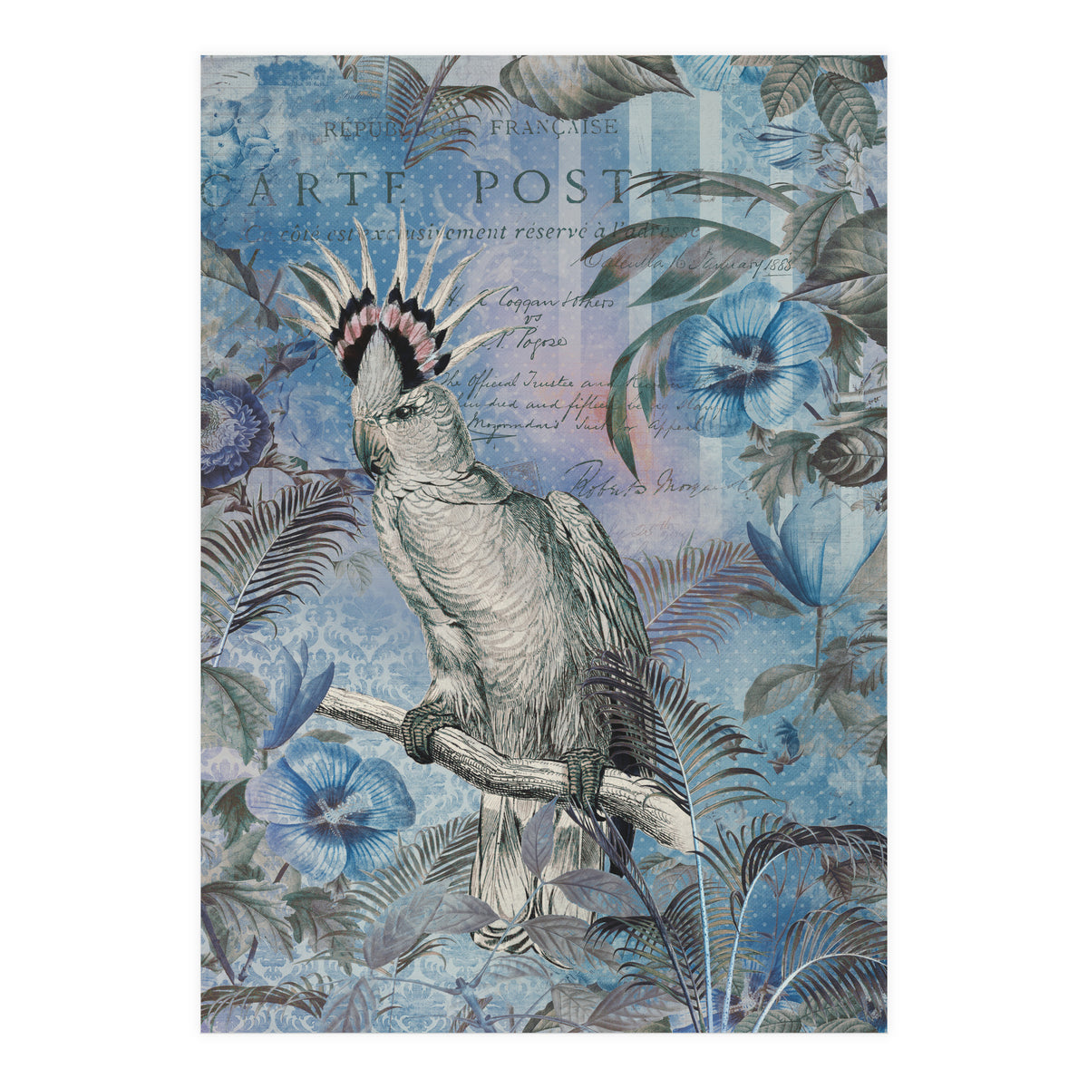 Jungle Cockatoo Blue (Print Only)