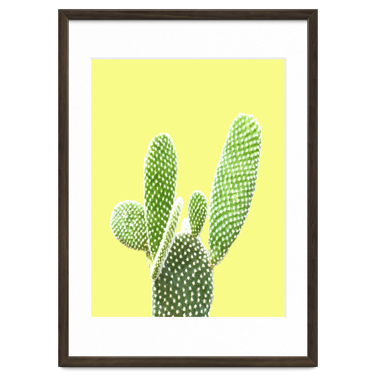 Cactus Yellow Background