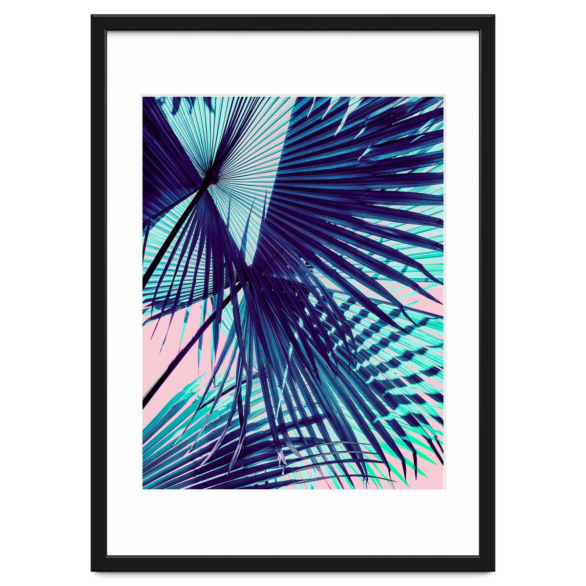 Palm leaf on the beach