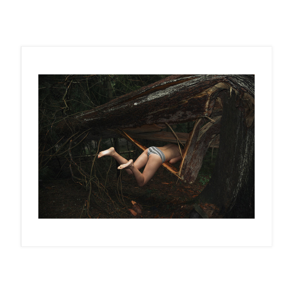 It's a Trap (Print Only)