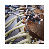 Stacks of bicycles (Print Only) thumbnail