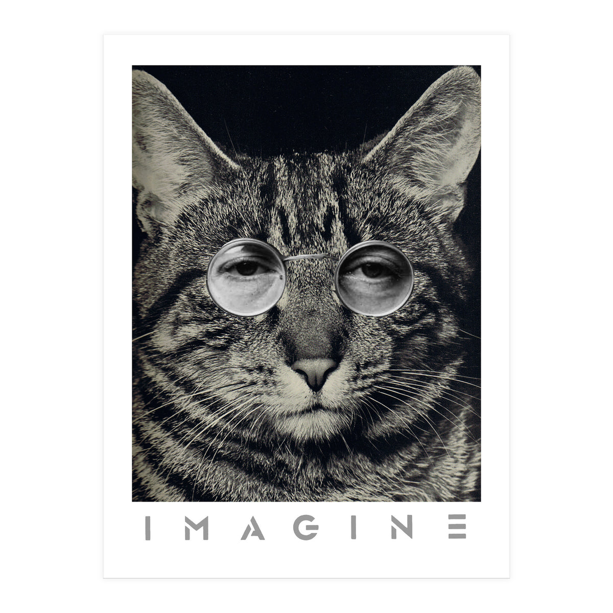 Imagine (Print Only)