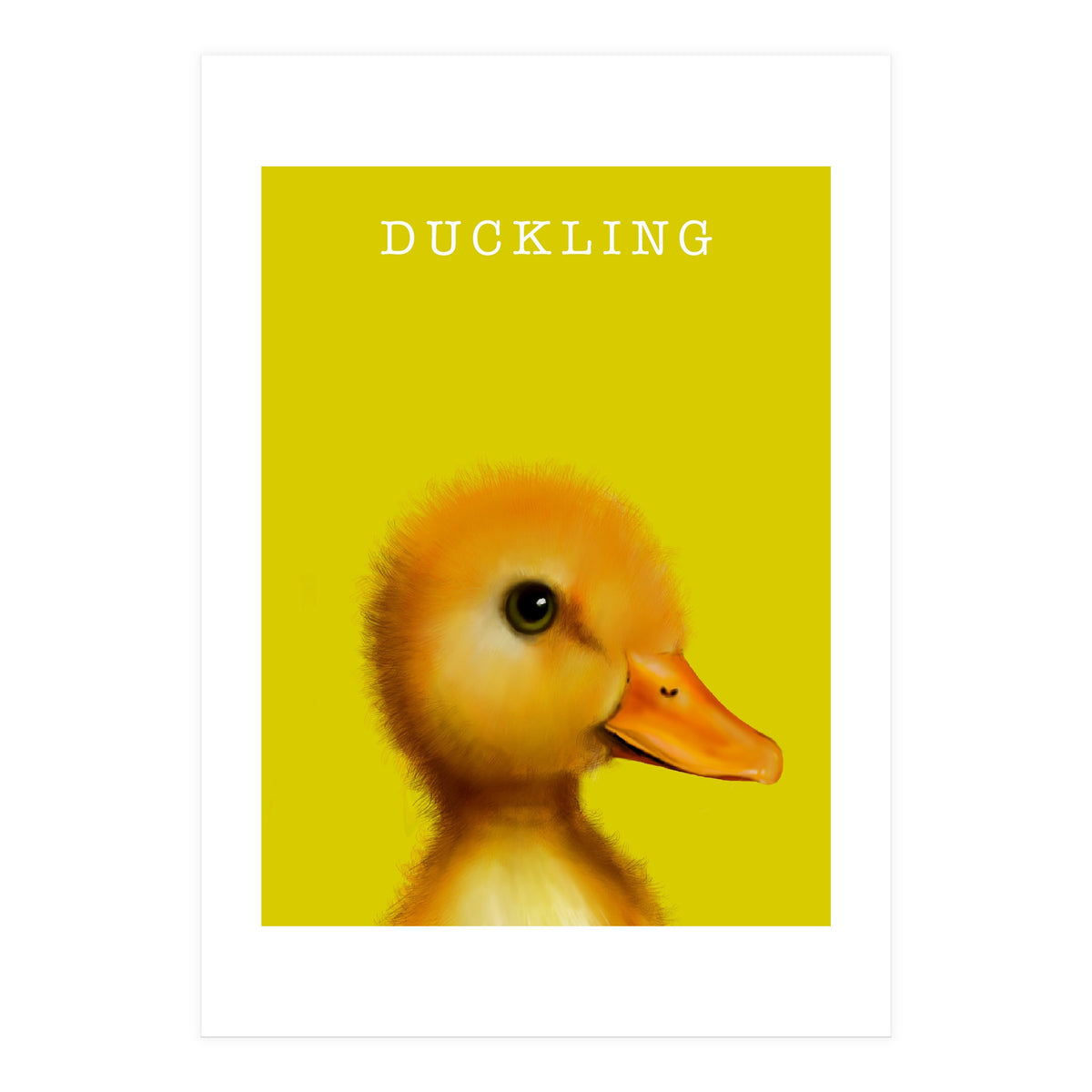 Duckling (Print Only)