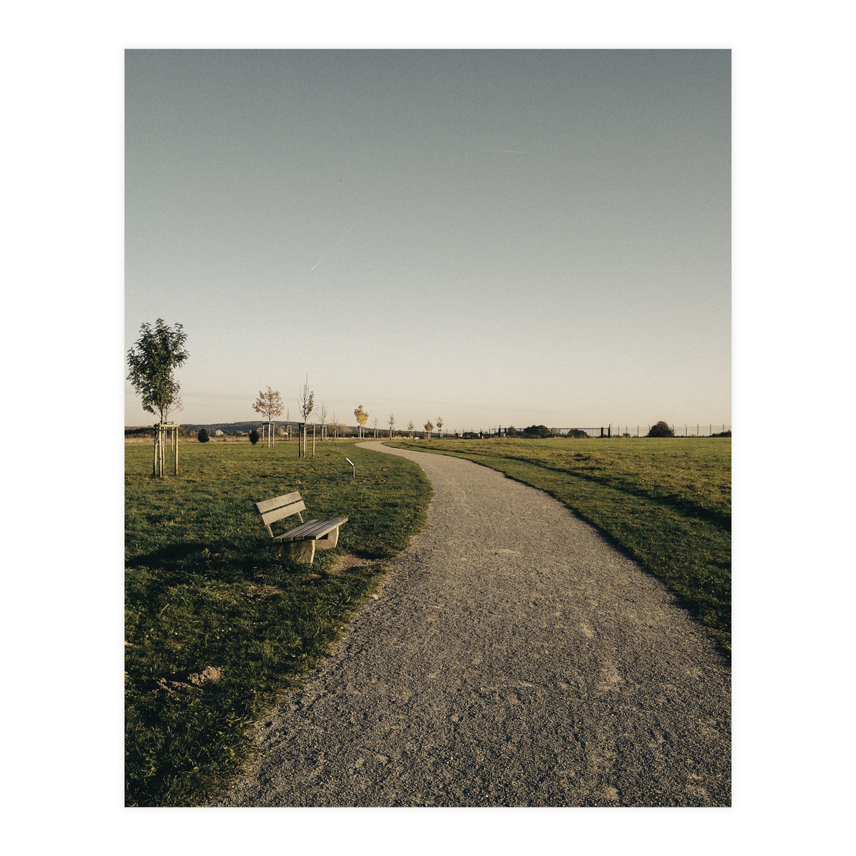 Bucolism 7 (Print Only)