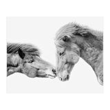 Horse Love in Iceland (Print Only) thumbnail