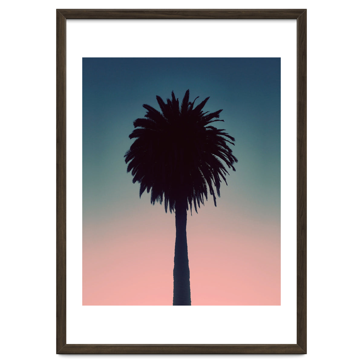 Sundown Palm
