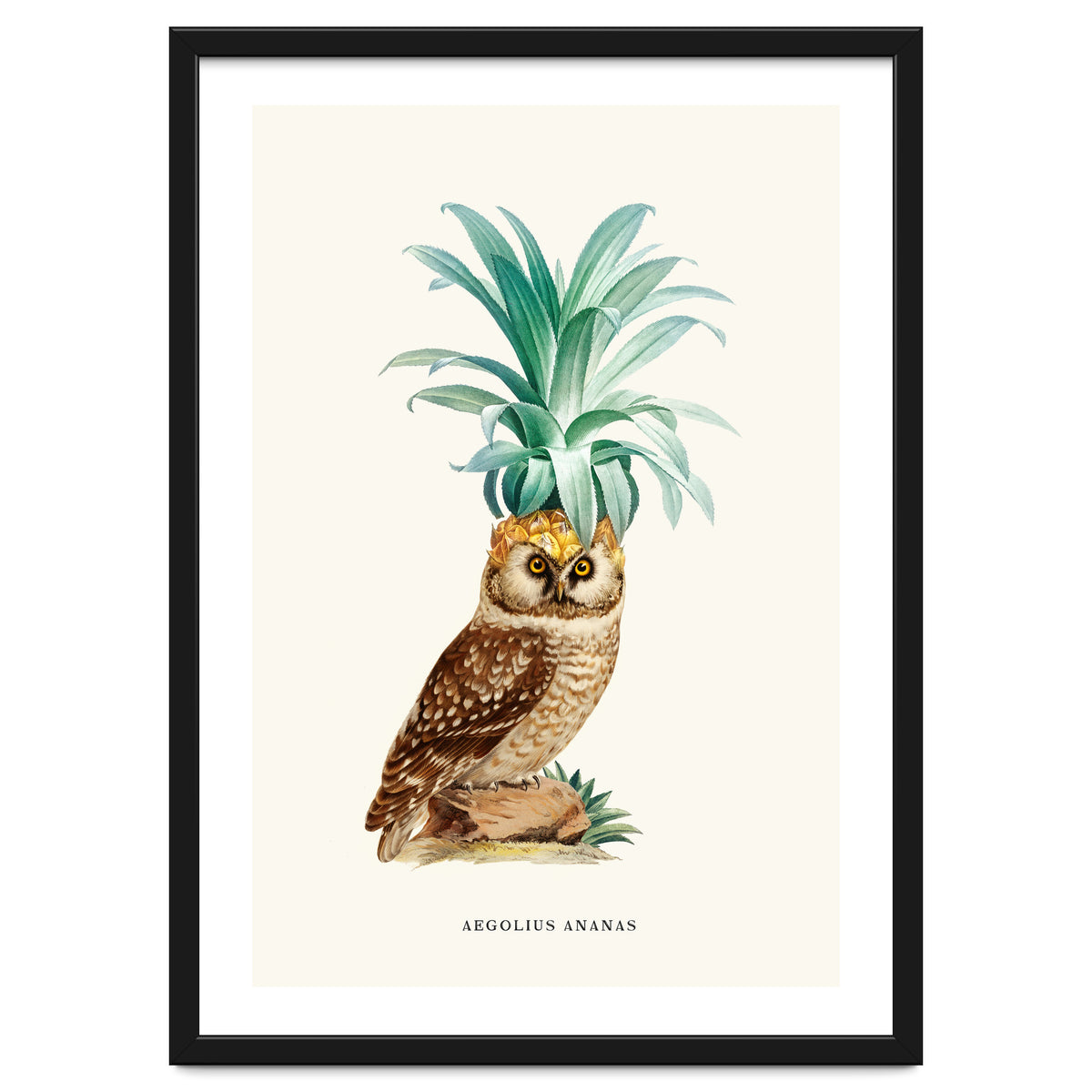 Pineapple Owl Vintage