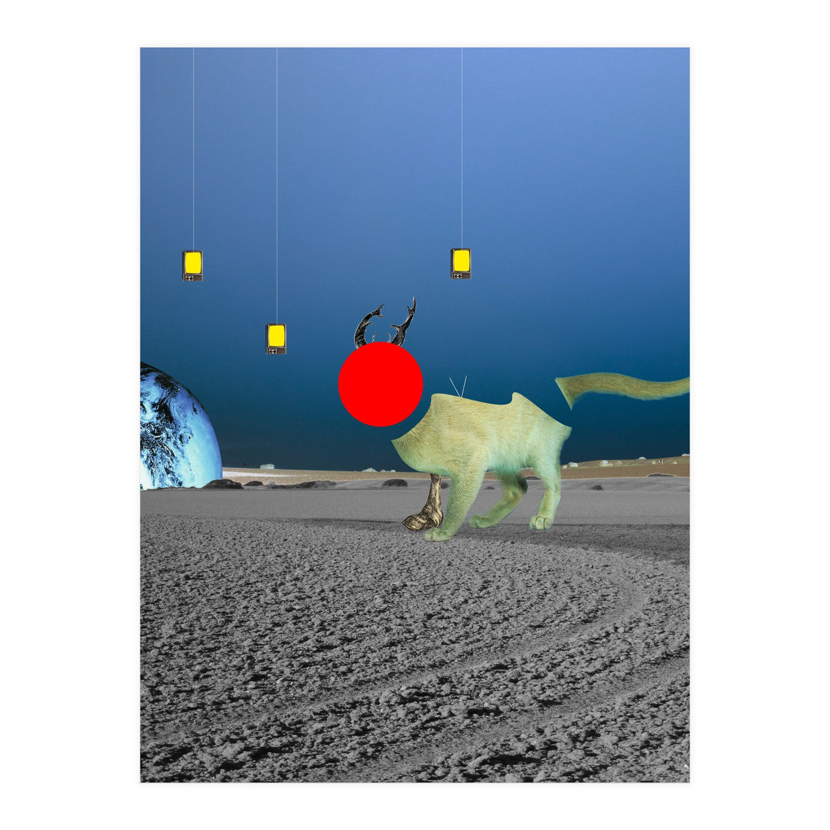 Le Cat? (Print Only)