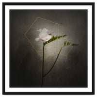 Graceful flower - Freesia | vintage style gold