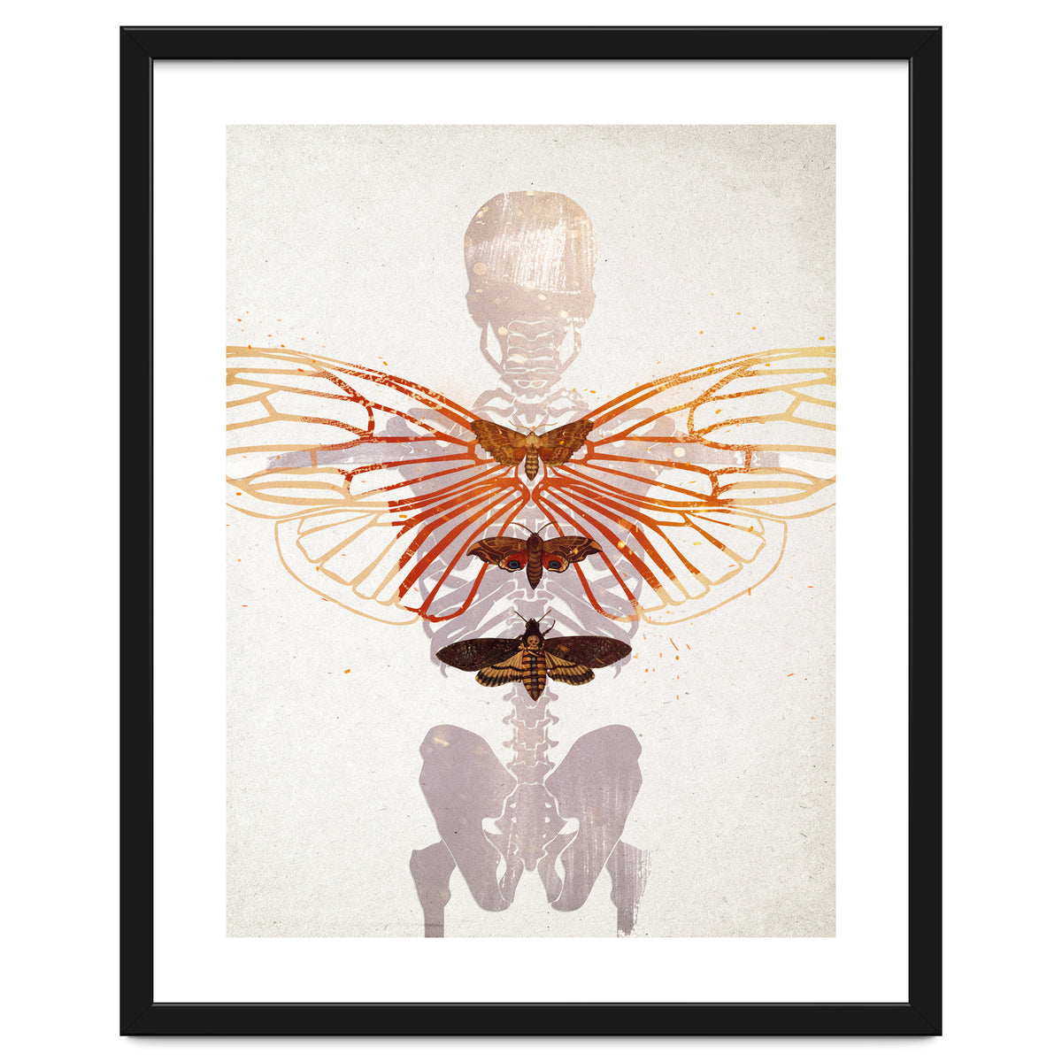 Ikarus - Like a Moth to the Flame