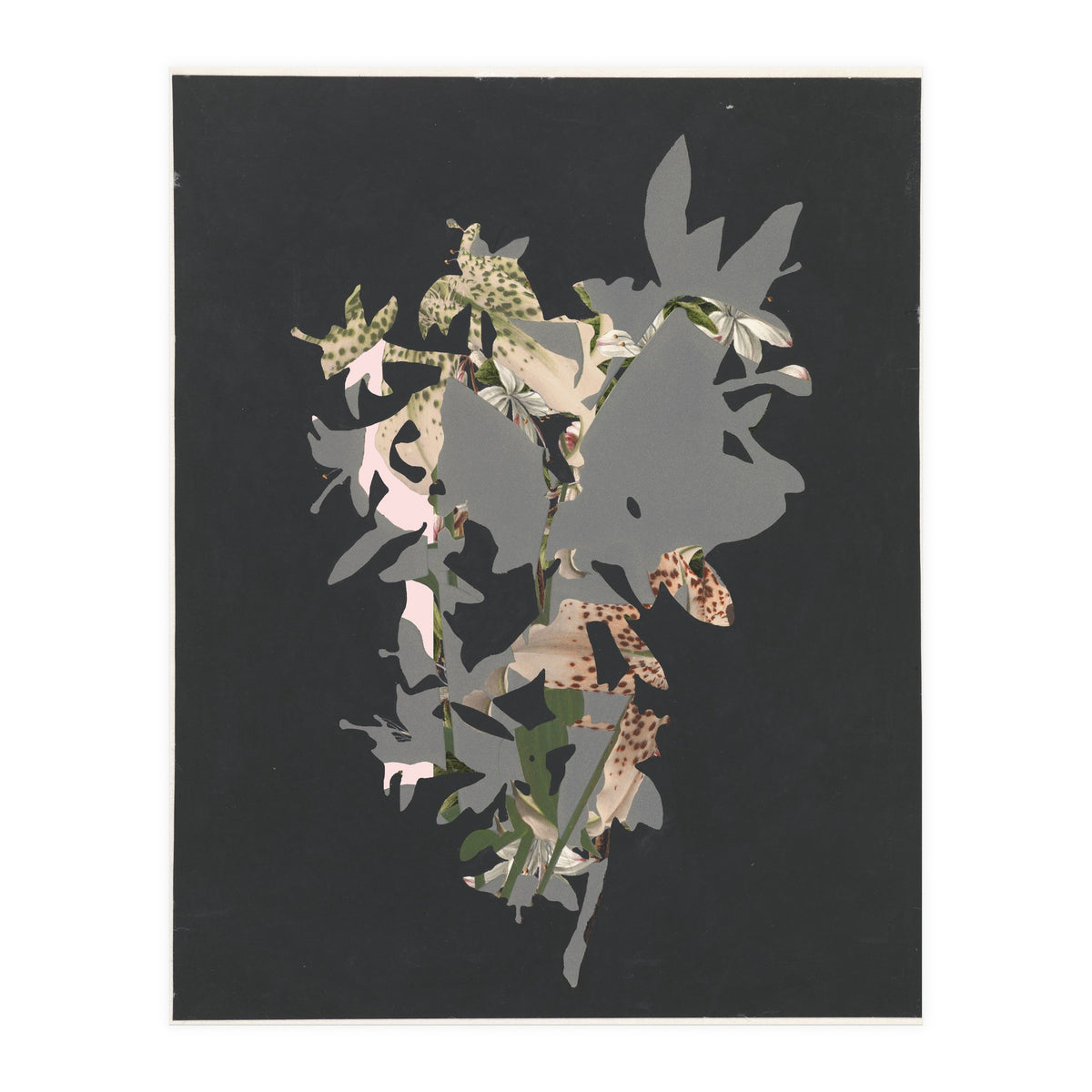 The First Plant · Black (Print Only)