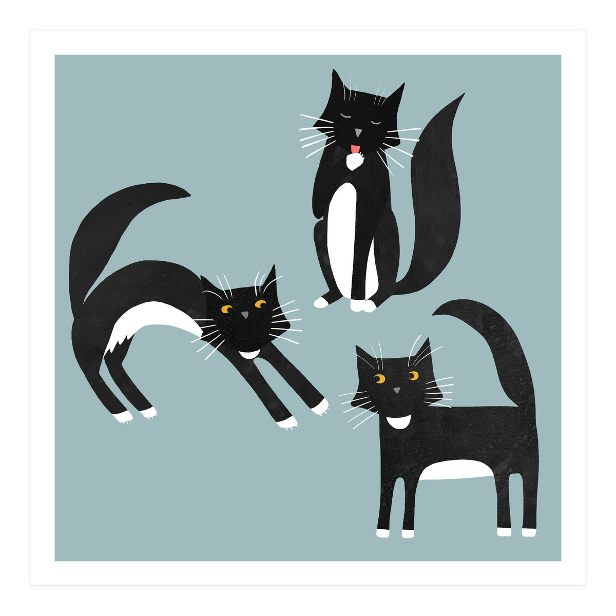 Black and White Tuxedo Cats (Print Only)