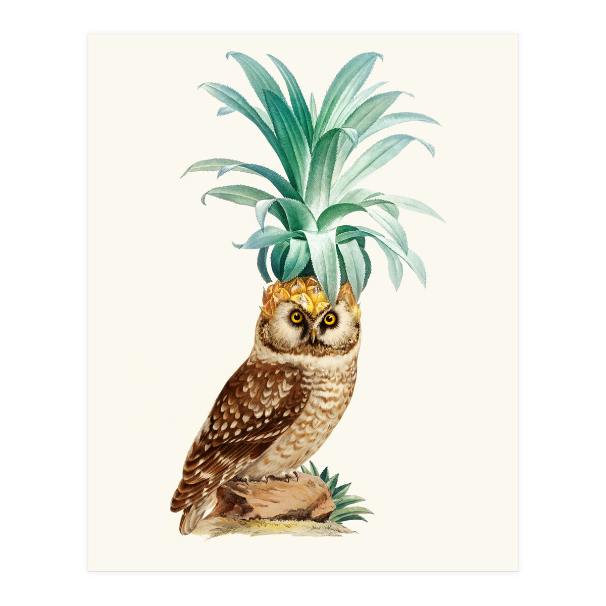 Pineapple Owl Vintage (Print Only)