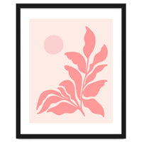 Mid Century Pink Garden