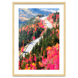 Valley of Pink Trees | Fantasy Pop of Color Forest Nature | Jungle Adventure Road Trip Pine thumbnail