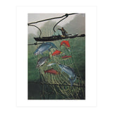 Salmon Trap (Print Only) thumbnail