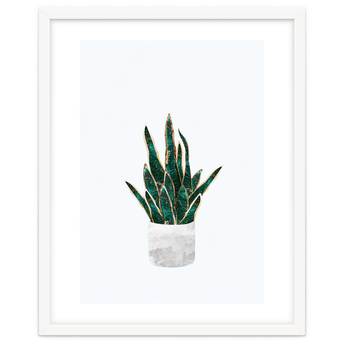 Snake Plant gold and green
