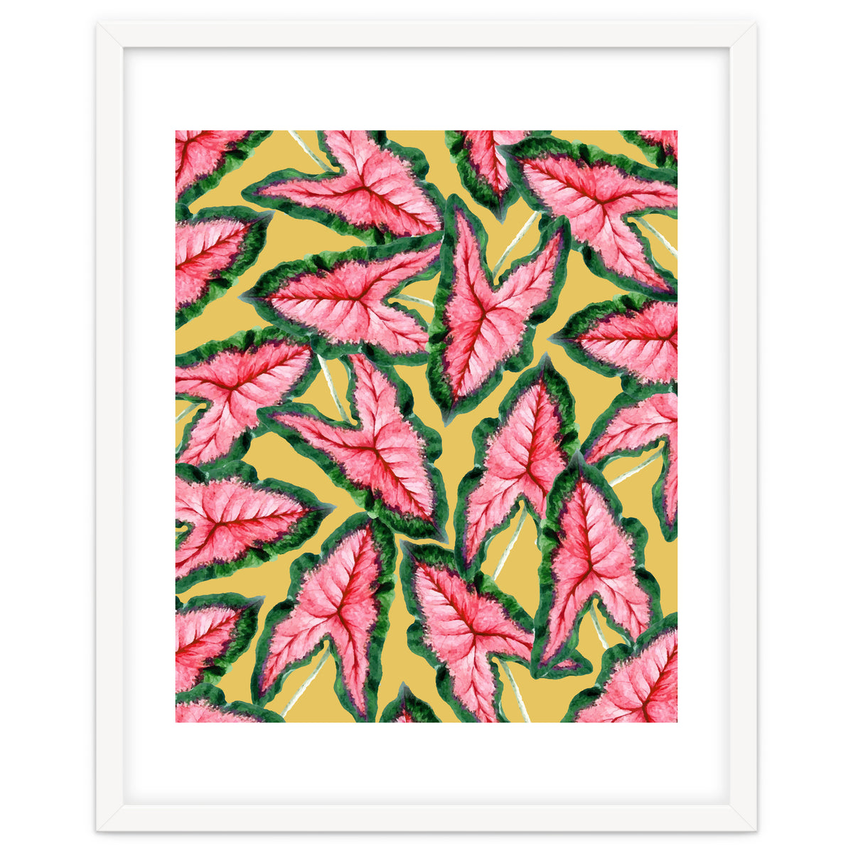 Caladium, Botanical Tropical Nature Plants, Vintage Bohemian Exotic Blush Leaves