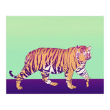 Tiger Under The Sun (Print Only) thumbnail