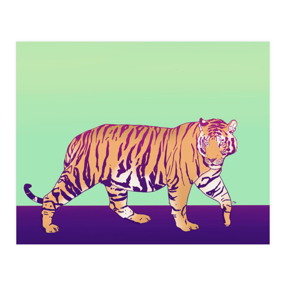 Tiger Under The Sun (Print Only)