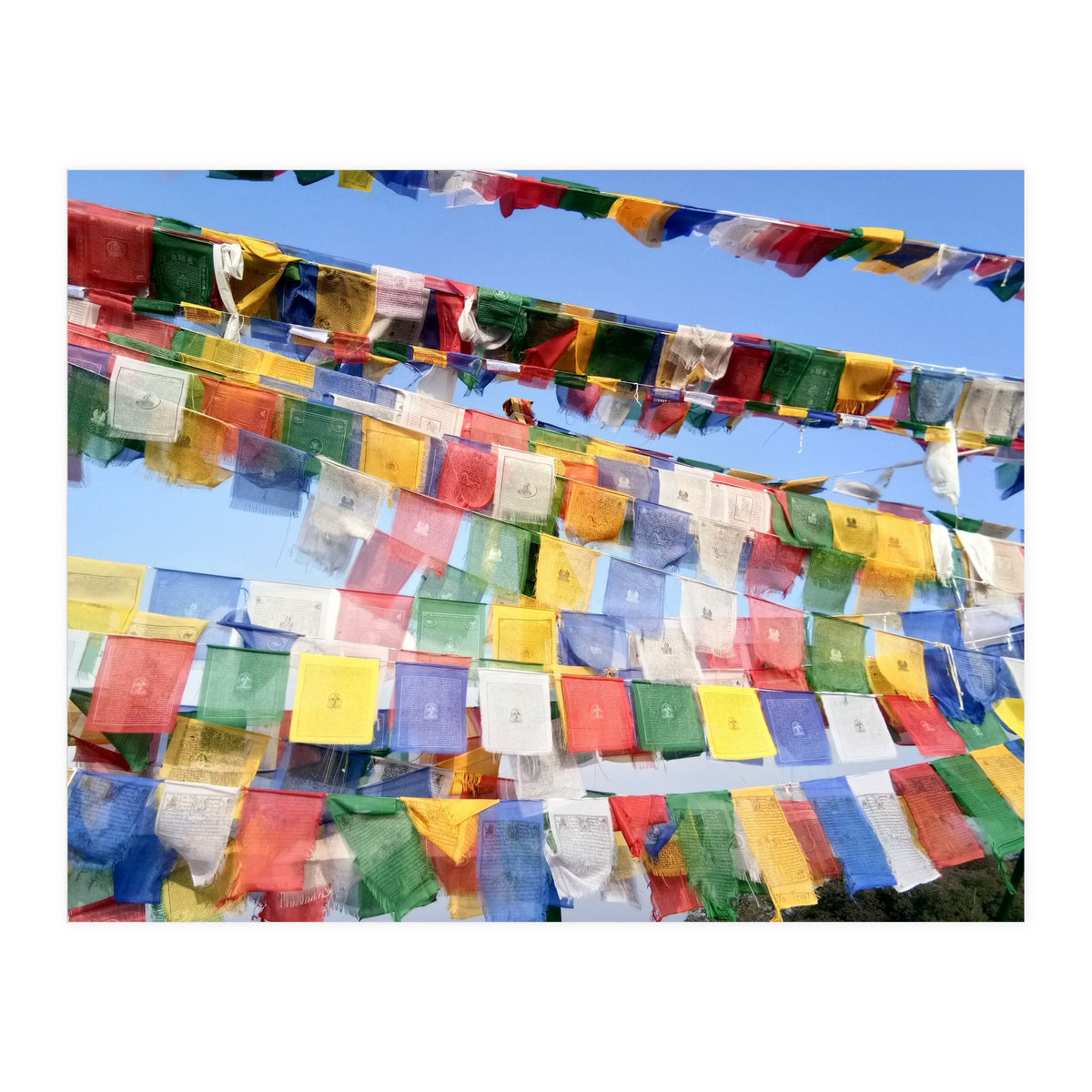 Prayer Flags  - Series 1 (Print Only)