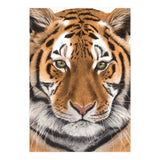 Tiger (Print Only) thumbnail