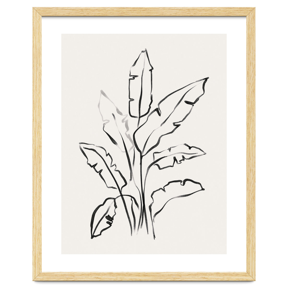 Banana Leafs Drawing