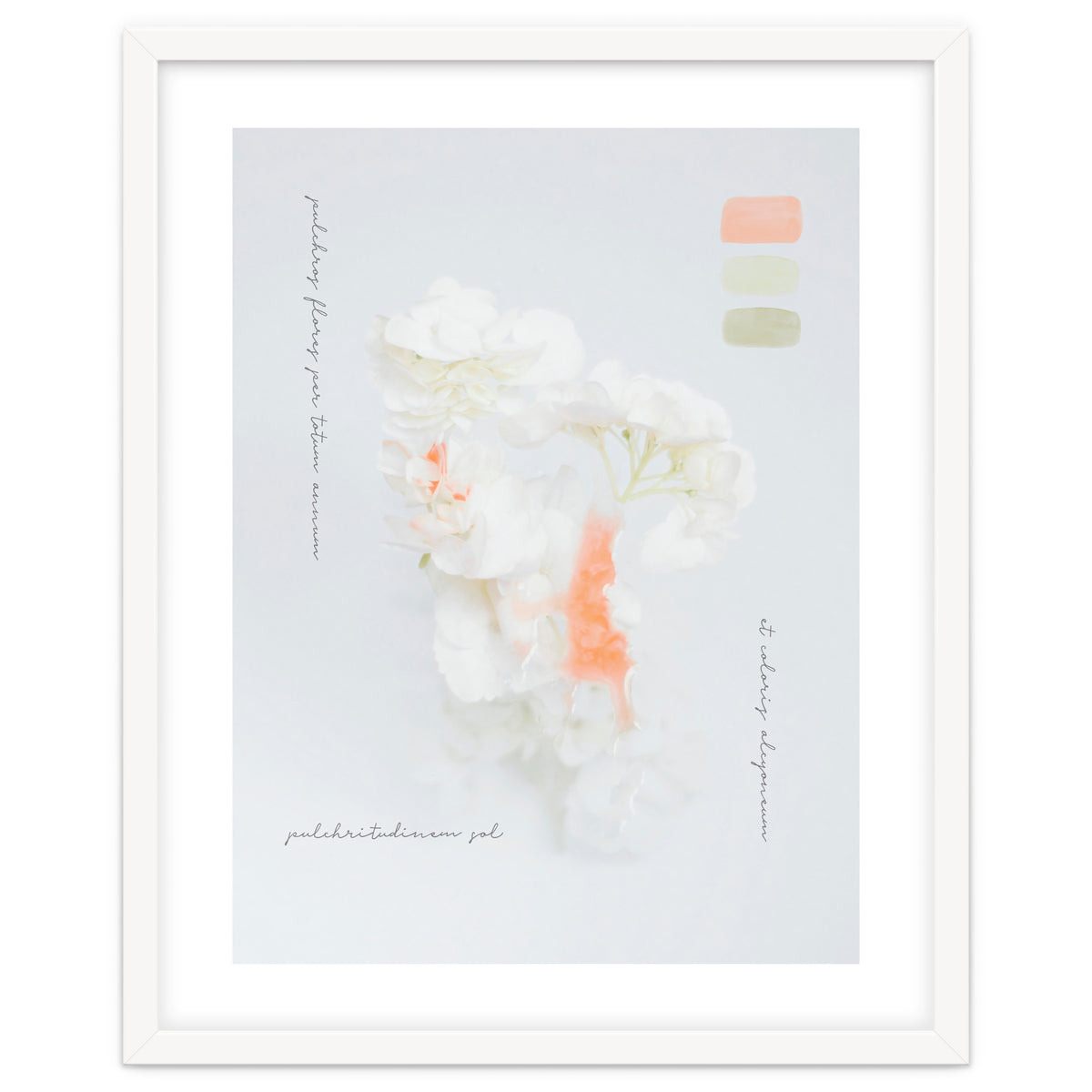 Modern Vintage Botanic