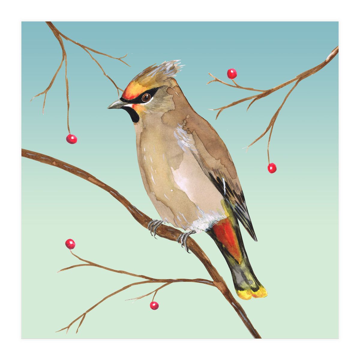 Bohemian waxwing (Print Only)