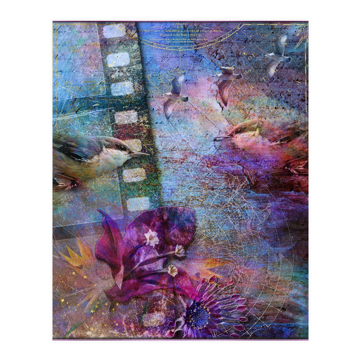 Watching the Wild World (Print Only)