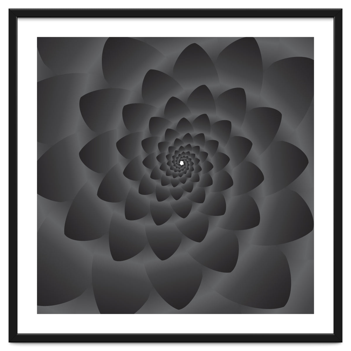 3 D Modern Black Floral