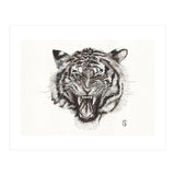 Tiger (Print Only) thumbnail