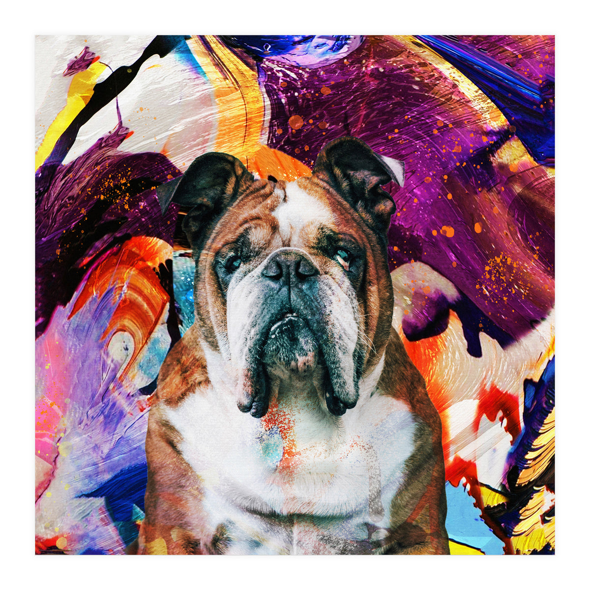 Zycko Color Dog 3 (Print Only)