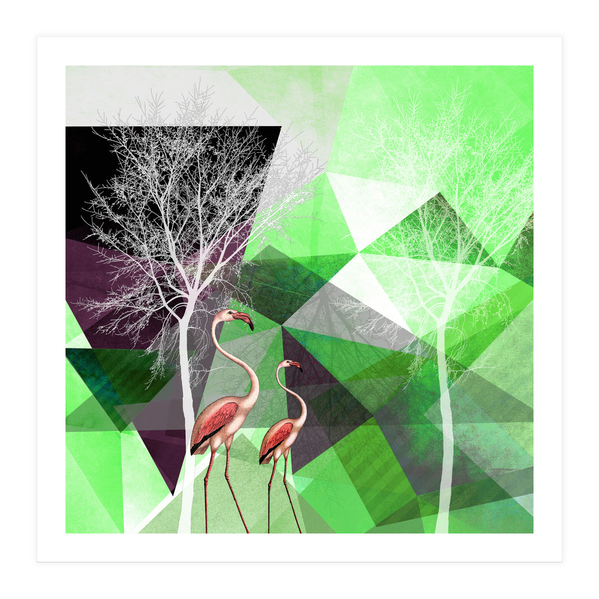 FLAMINGOS P21  (Print Only)