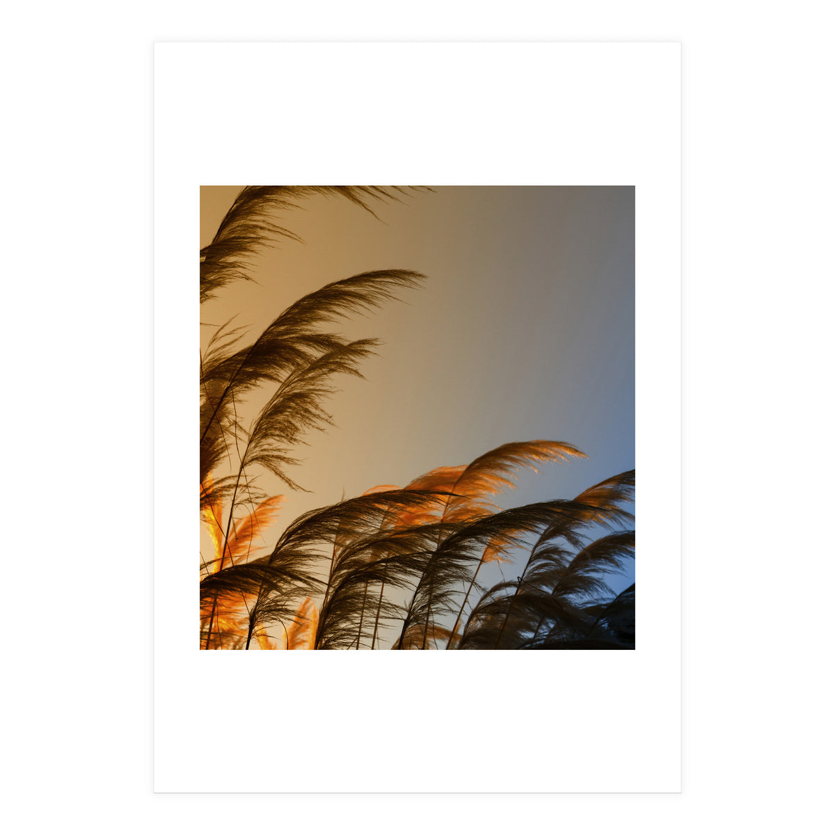 Sunset in autumn (Print Only)