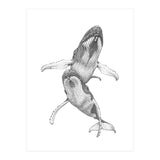Humpacks no. 1 (Print Only) thumbnail