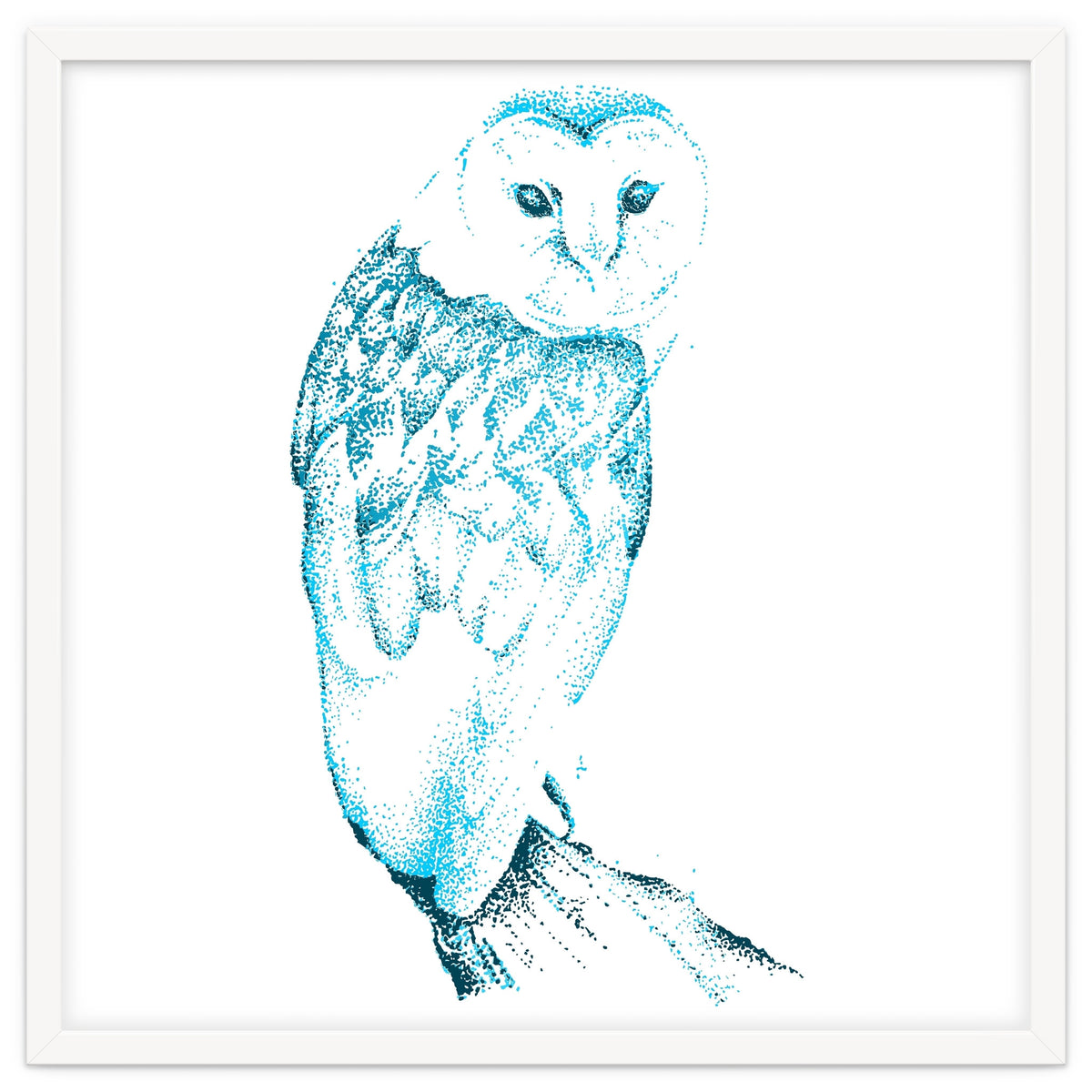 Barn Owl in Teal