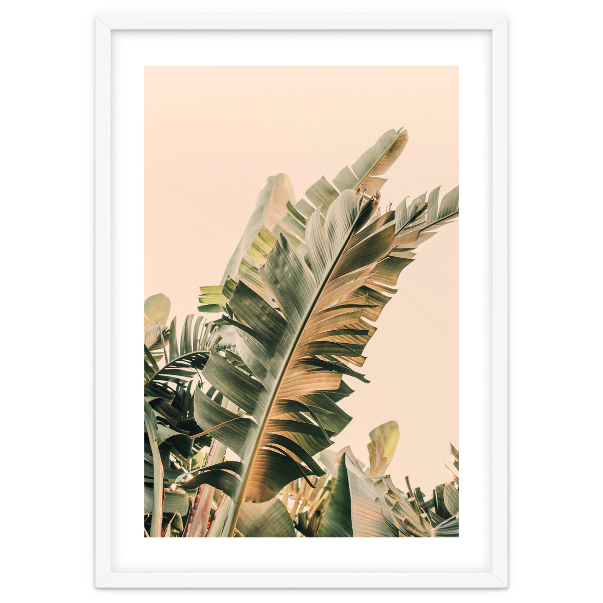 Growing Green Alicia Bock