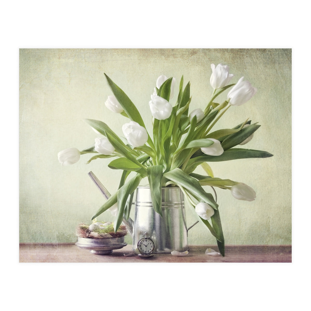 Waiting For Spring  (Print Only)