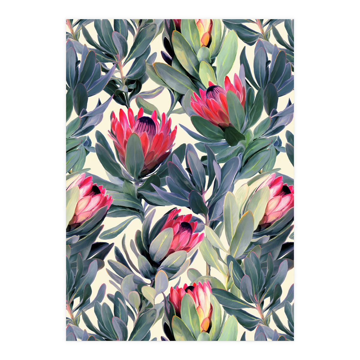 Painted Protea Pattern (Print Only)