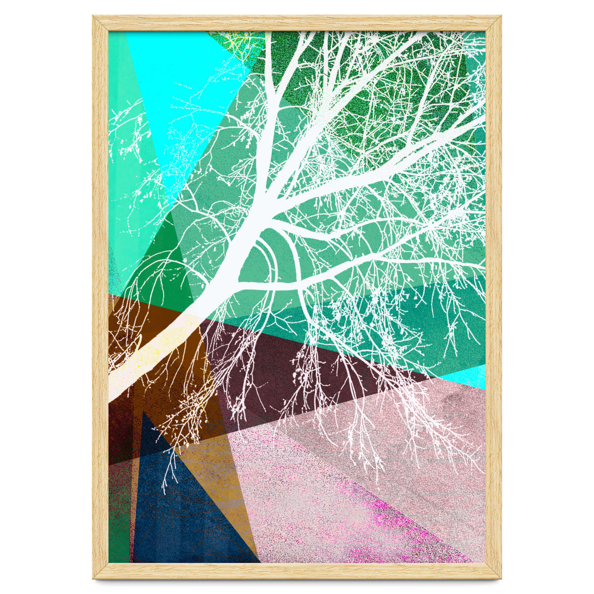 P16-H Trees And Triangles