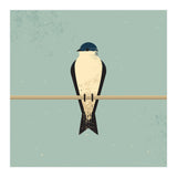 Swallow (Print Only) thumbnail