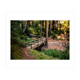 Ewoldsen Loop Bridge (Print Only) thumbnail