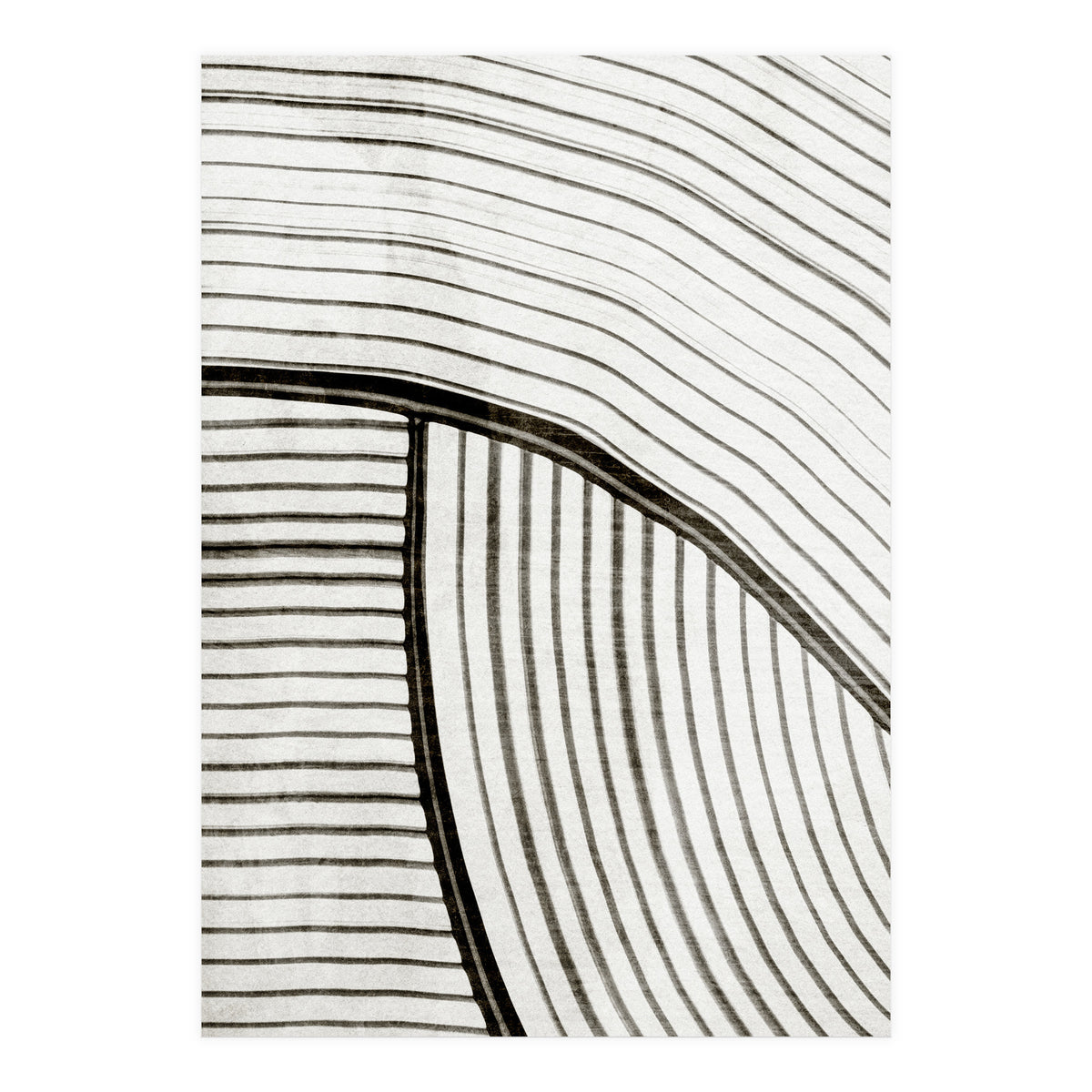 Frequencia4  (Print Only)